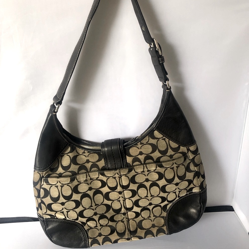COPY - Brown coach canvas